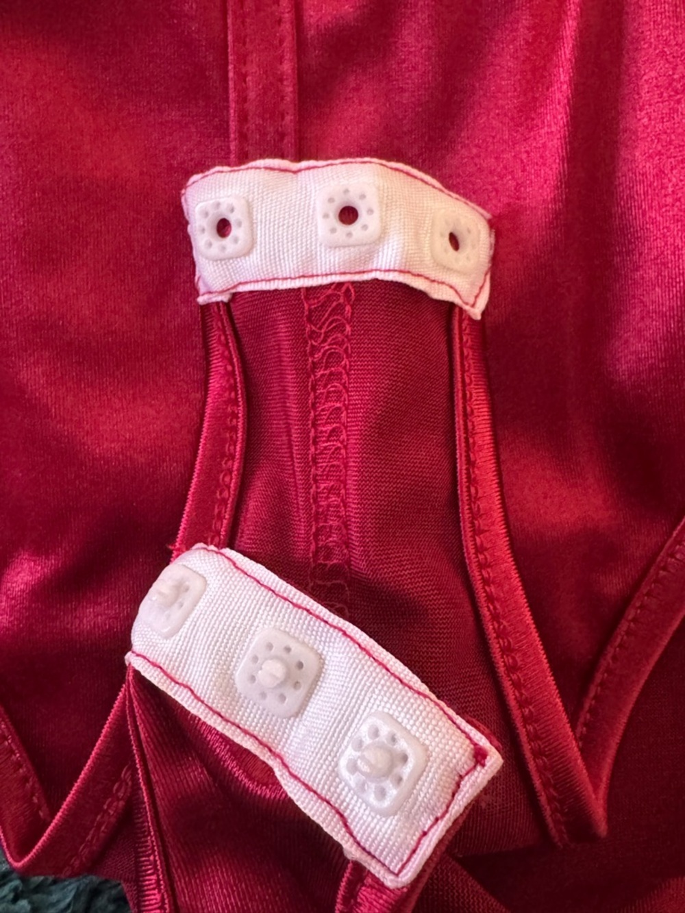 SHEIN Crimson Satin Mesh Puff-Sleeve Bodysuit - Picture 4 of 5